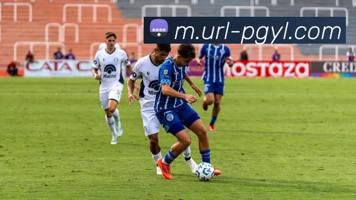 PG娱乐平台生态图