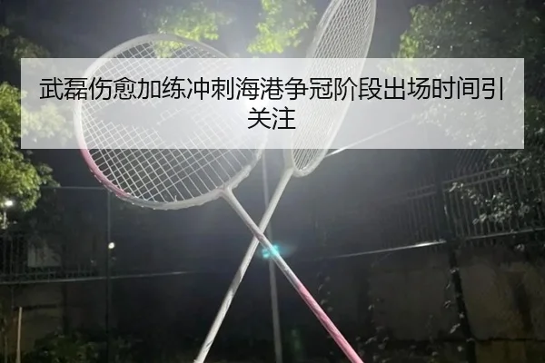 武磊伤愈加练冲刺海港争冠阶段出场时间引关注 - PGGames